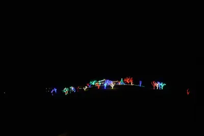 DSC_6724 (Large).JPG